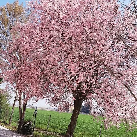 Affittacamere La Corte Country 4*