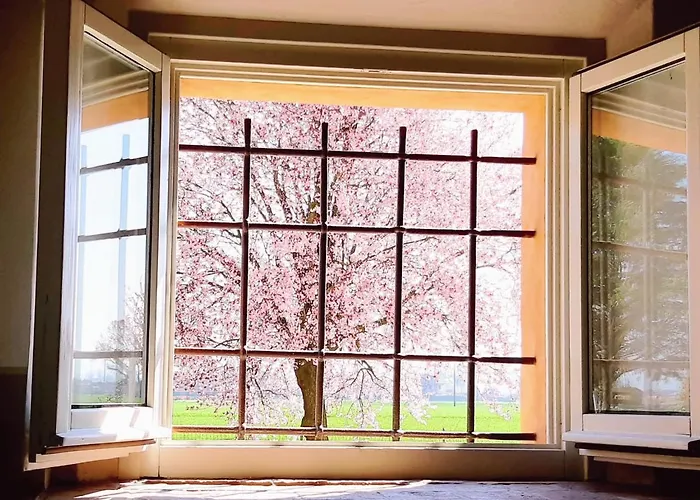 La Corte Country مودينا