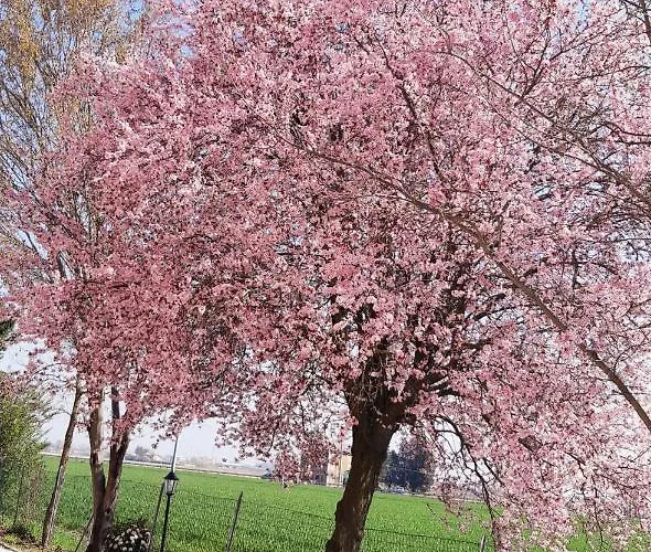 بيت ضيافة La Corte Country 4*